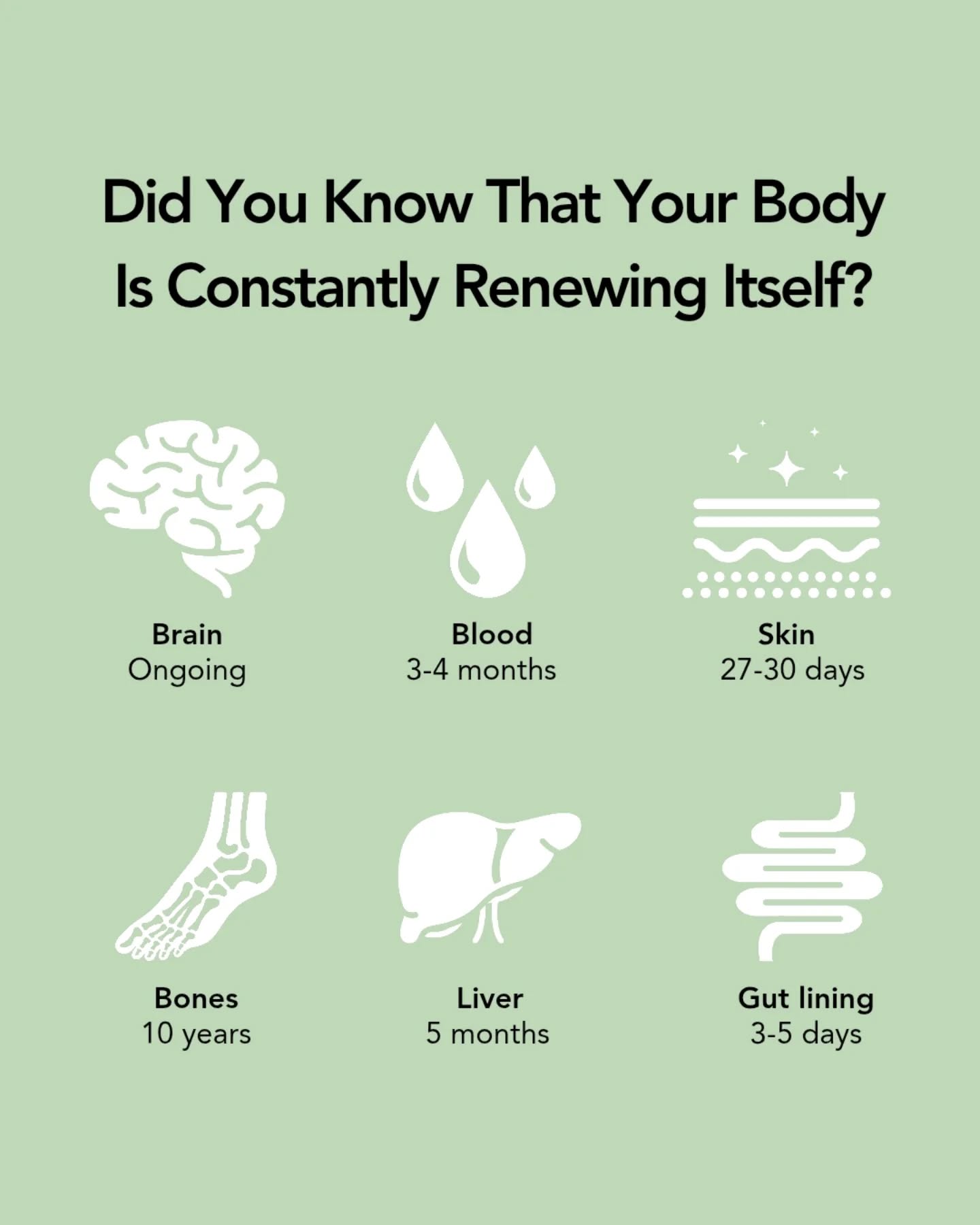 Your body is constantly repairing, renewing, and recalibrating. From your skin to your gut, different parts of you heal on different timelines.  When you nourish your body with mineral-rich foods, consistent rest, and care, you’re actively supporting the process. Sea moss gives your body the additional support that it needs during that renewal process.  Give your body what it needs to thrive. 🤎✨  #naturalhealing #selfhealingbody #mineralsmatter #holisticwellness #seamossbenefits #bodywisdom #healingtakespatience #nourishyourself #mindbodyhealing