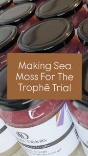 Had the pleasure of preparing 33 jars of Majestic Synergy gold and purple organic sea moss gel for the @trophe.uk trial.  Participants will take one tablespoon of sea moss gel across 3 weeks and document any changes noticed throughout.  We hope that all participants start to feel the benefits from nourishing and supporting their bodies with our sea moss! ✨  #seamossgel #holisticwellness #seamossbenefits #seamosstrial #holisticnourishment #mineralsmatter #plantbasedhealing #naturalenergy #fromtheinsideout #glowfromwithin