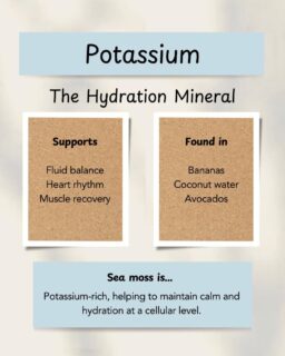 Potassium is one of the body’s most essential minerals - but many of us don’t realise when we’re running low.  It helps regulate hydration, supports nerve and muscle function, and plays a key role in maintaining steady energy levels. Think of it as a quiet stabiliser for your body’s rhythms.  Sea moss is a natural plant-based source of potassium, making it a gentle way to support balance - especially when life feels a little off.  One spoon a day, supporting your body from the inside out. ✨  Available at holisticdivinity.com 🔗 Link in bio  #potassiumbenefits #mineralsmatter #seamossgel #naturalwellness #holisticliving #plantbasedminerals #nourishyourbody #wellnessfromwithin #calmrituals