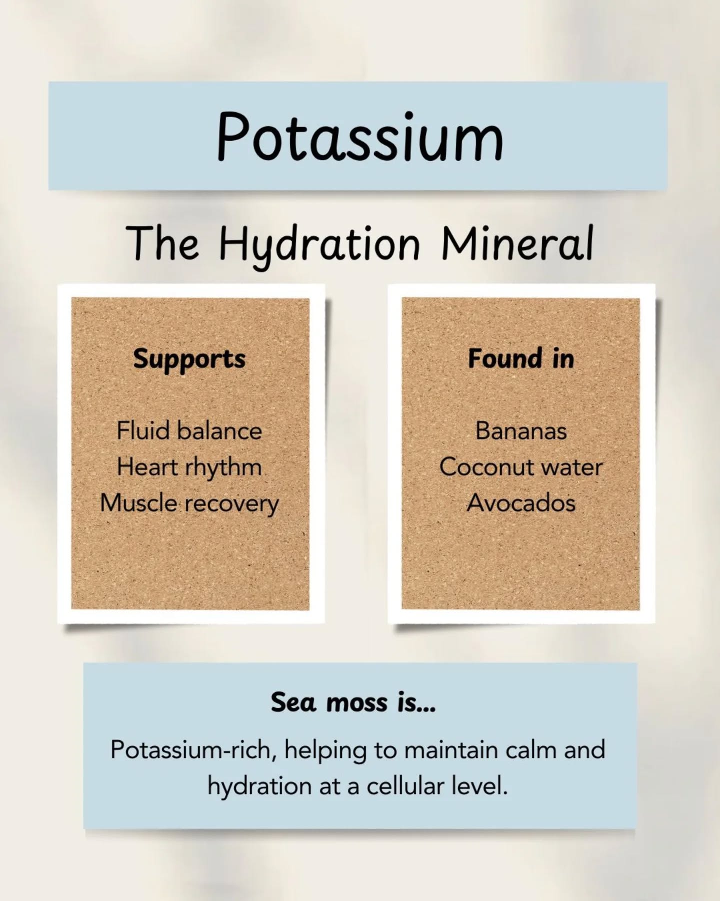 Potassium is one of the body’s most essential minerals - but many of us don’t realise when we’re running low.  It helps regulate hydration, supports nerve and muscle function, and plays a key role in maintaining steady energy levels. Think of it as a quiet stabiliser for your body’s rhythms.  Sea moss is a natural plant-based source of potassium, making it a gentle way to support balance - especially when life feels a little off.  One spoon a day, supporting your body from the inside out. ✨  Available at holisticdivinity.com 🔗 Link in bio  #potassiumbenefits #mineralsmatter #seamossgel #naturalwellness #holisticliving #plantbasedminerals #nourishyourbody #wellnessfromwithin #calmrituals